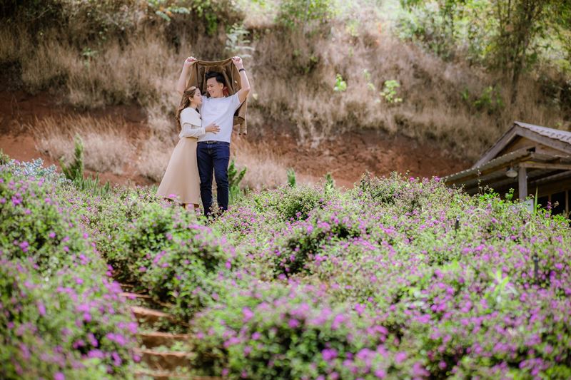 hinh cuoi da lat mau trong sang